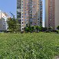 Avirt