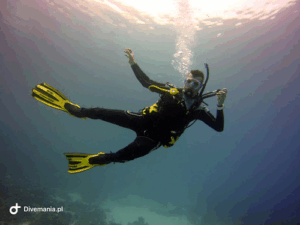 Centrum Nurkowe Divemania.pl