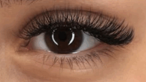 Eye Atelier