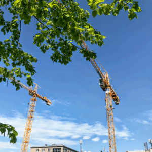 Fajer Zawiesia i Liny Jacek Fajer Producent