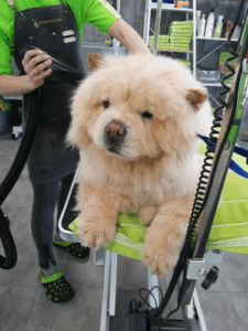 Grooming Point