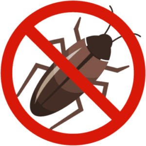 INSECTA Profesjonalna Dezynsekcja Angelika Ciszewska
