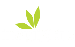 Inspiracje