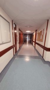 Klinika Hepatologii, Transplantologii i Chorób Wewnętrznych WUM