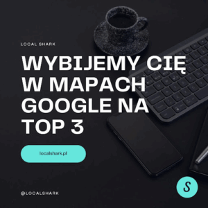 LocalShark - obsługa i pozycjonowanie wizytówek Google - Pozycjonowanie lokalne