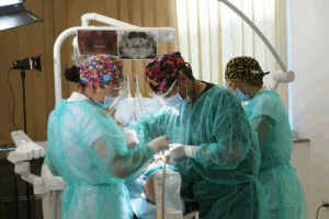 Malo Clinic Polska