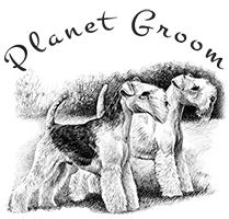 Planet Groom