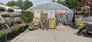 Sequoia Centrum Ogrodnicze