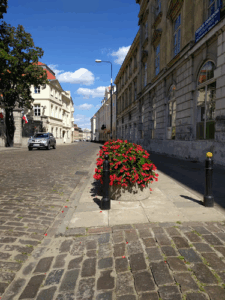 Tłumacz przysięgły Warszawa - Adam Maciejewski