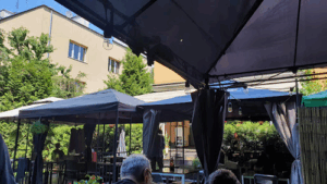 Viet Street Food Bistro