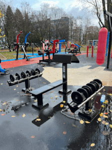 WK Dzik Gym